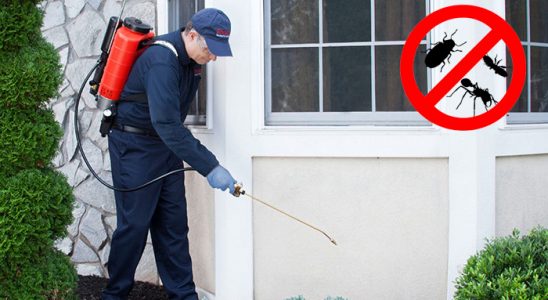 Şişli Böcek İlaçlama böcek ilaçlama ve haşere kontrolü — ilaclama-tr.com